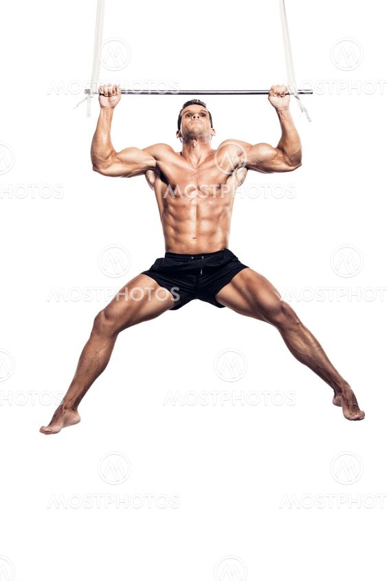 Muscle doing elevations