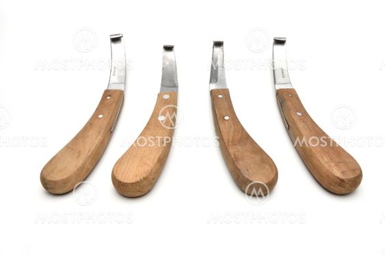 knife for trimming animal hoof