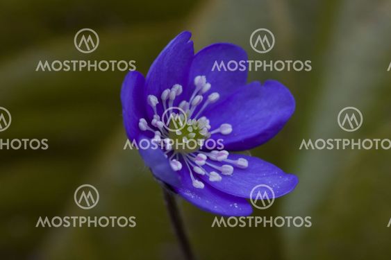 Open for spring