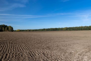 preparation of soil in the autumn season for spring sowing