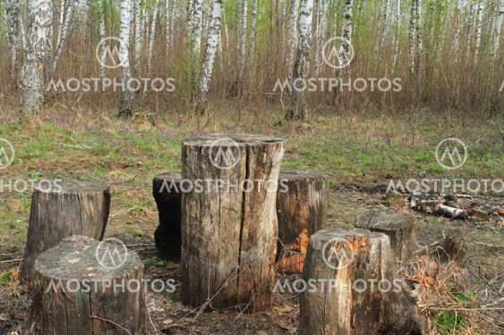 place for rest with wooden hemp