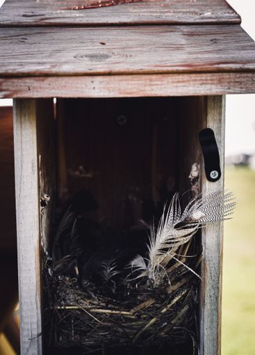 Open bird house with an empty nest of feathers and straw...