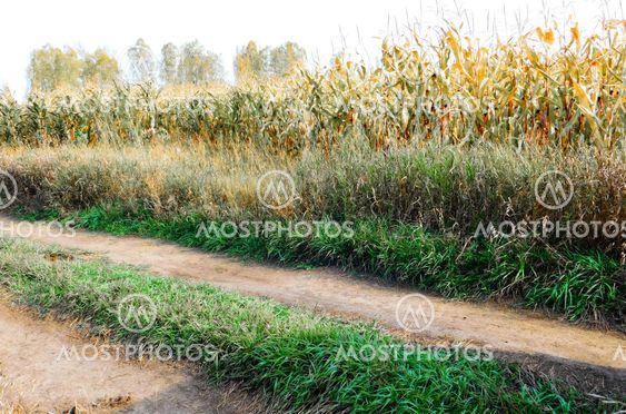 Nature Altaya