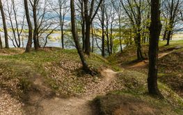 Ruined Line Of Defense. Memory Of War. Old Abandoned...