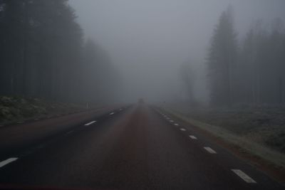 väg genom dimmig höstkväll