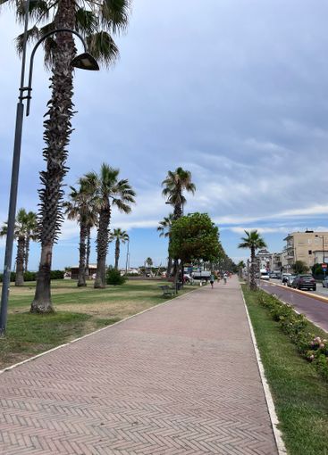 Scenic seaside promenade with palm trees and cloudy sky....