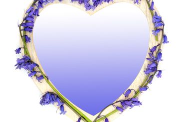 Romantic Spring Heart Shape Bluebell Flower Frame