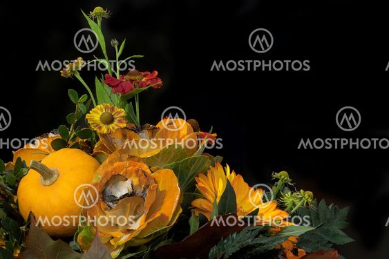 Autumn floral composition