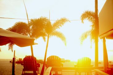Palm tree, deck chairs and sunset on beach for tourism...