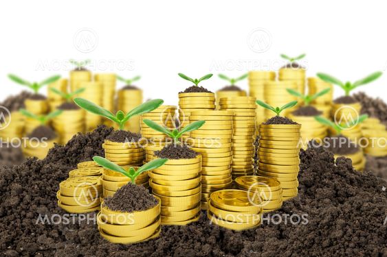 Stack of golden coins with ground and green plant