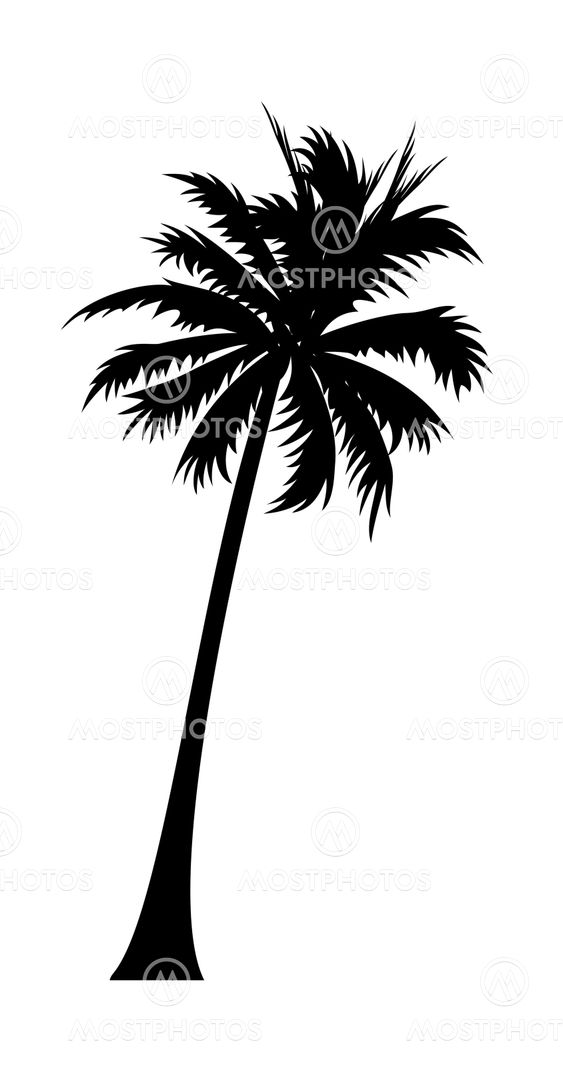vector icon palm tree