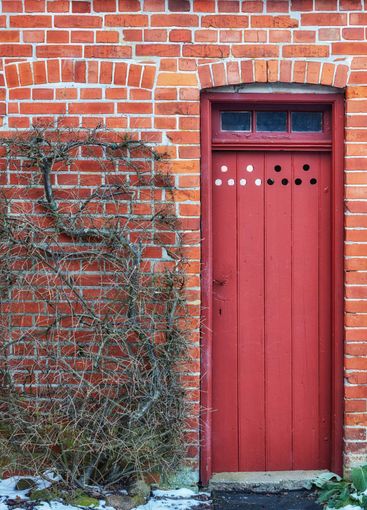 Red door, vines and secret passage with nature or hidden...