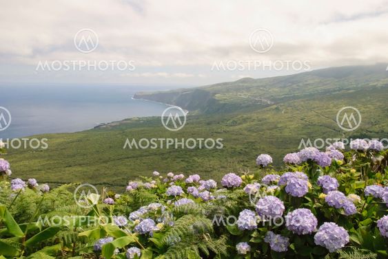 Faial ø, Azorerne