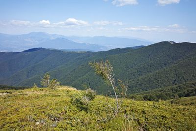 Summer landscape of Belasitsa Mountain, Bulgaria