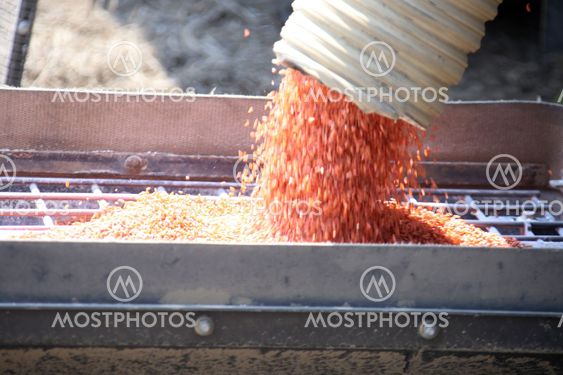 Seeding in Saskatchewan