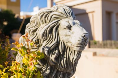 Stone lion statue. Marble Sculpture of a lion on pedestal