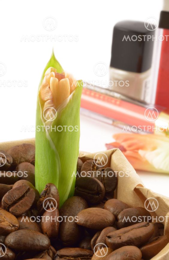 Coffee grains