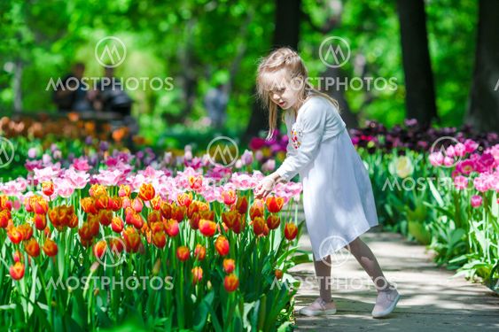 Little beautiful girl in tulips garden at warm spring day