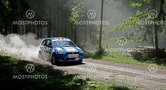 Swedish Rallye