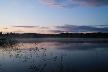 Evening at the lake