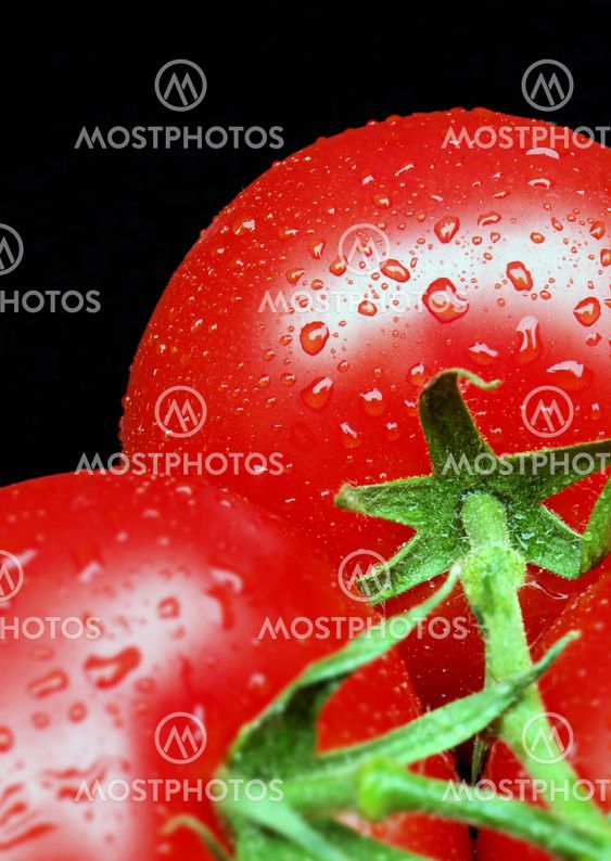 Tomatoes on Vine