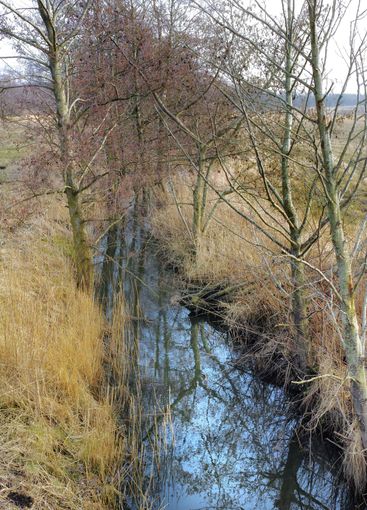 Wet farmland in early spring ,Jutland, Denmark....