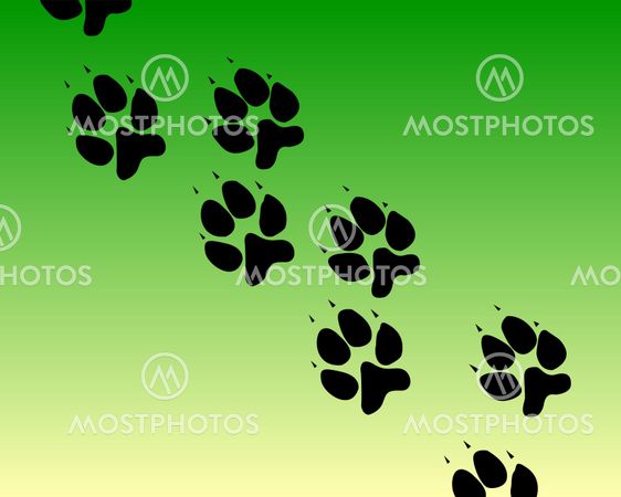 traces of the animal