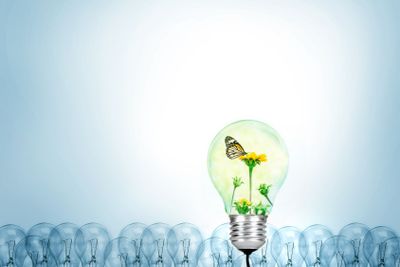 Outstanding creative idea for eco friendly background...