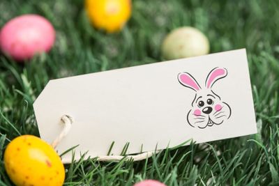 Composite image of easter bunny