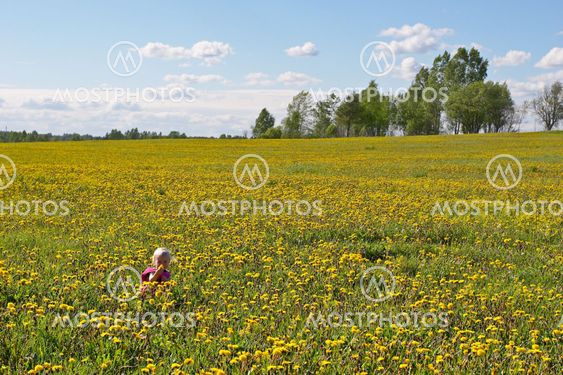 little child among flowers