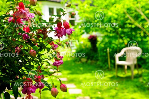 Home and garden