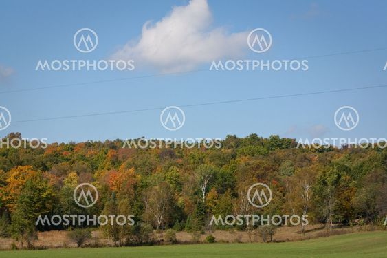 Fall in the North Woods