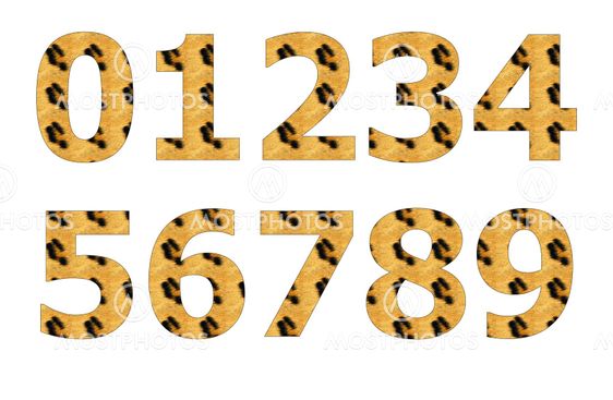 Tiger Texture pattern on english character