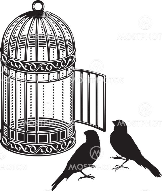 Bird cage