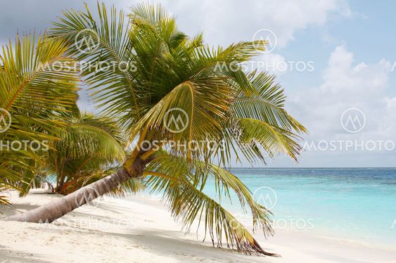Island in the Ocean. Welcome to Paradise!