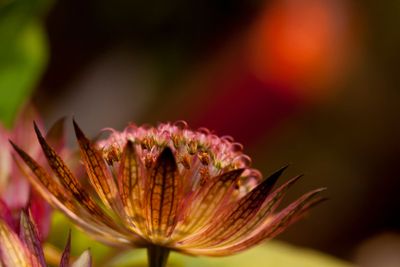 Spring light in February