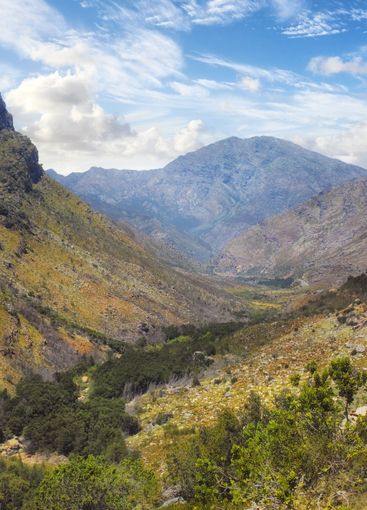 Jungle, landscape and mountain with blue sky in nature...