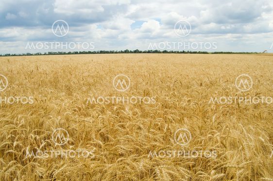 field and cloud