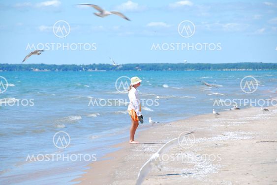 Girl beach seagulls