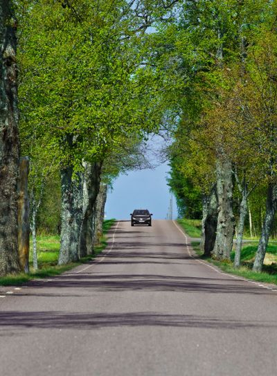 Bil på väg genom allé