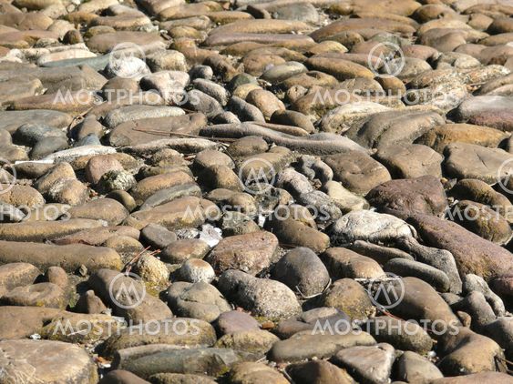 texture of a pebble sidewalk