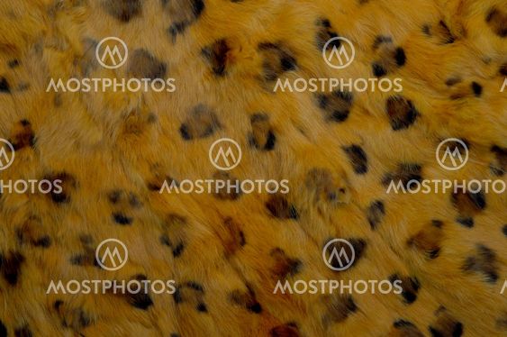 Leopard skin texture
