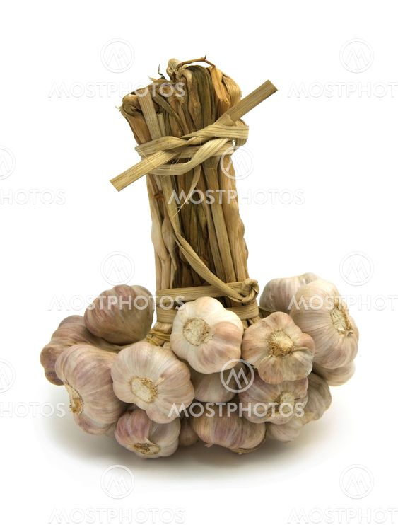 Garlic