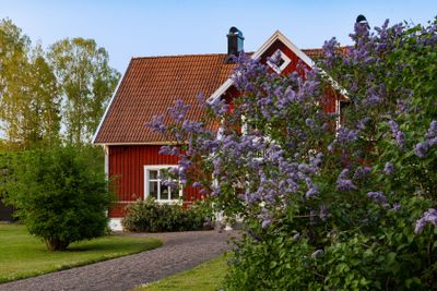 Purple lilac and red wooden house
