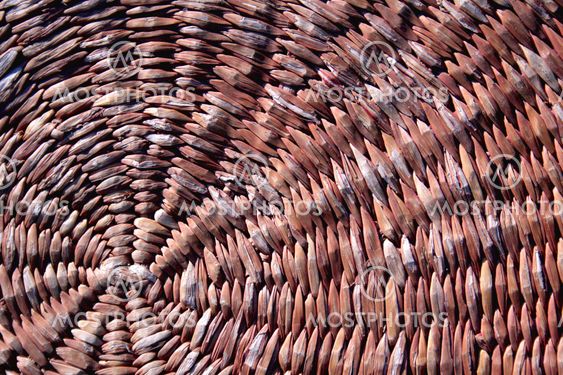 A photo of a weaved Rottan