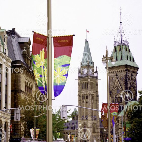 Elgin Street View