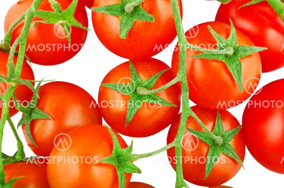 red tomato vegetable on white background
