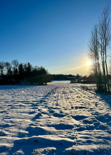 Fin vinterdag i Roslagen 