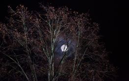 Fullmåne över Skytteholm