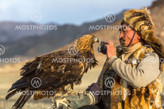 Berkutchi (Eagle Hunter) while hunting to the hare with a golden eagles on his arms in the mountains of Bayan-Olgii aimag.